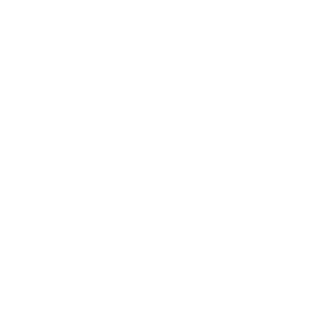 REQUIREMENTS MANAGEMENT